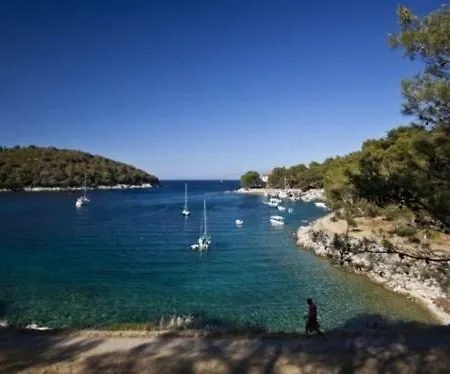 In With Seaview, Balcony, Air Condition, Wifi Apartment Mali Losinj